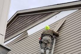 Best Vinyl Siding Installation  in Park City, MT